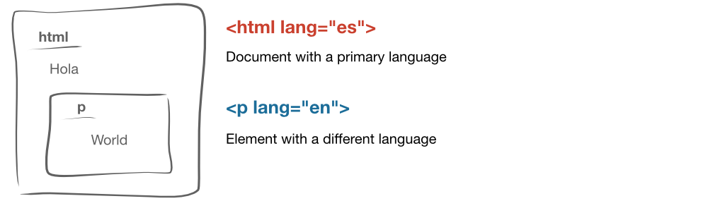 For example, the HTML tag may have a lang of "es" while a paragraph may have a lang of "en"